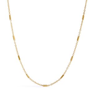 Delicate Chain Choker